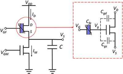 A Swarm Optimization Solver Based on Ferroelectric Spiking Neural Networks